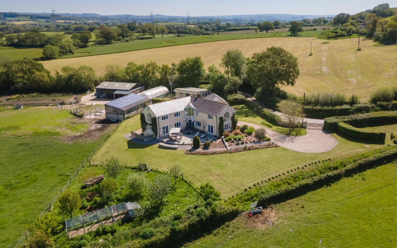 Copse Gate Farm Bed & Breakfast Bridport Exterior photo